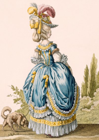 Back View of a Lady